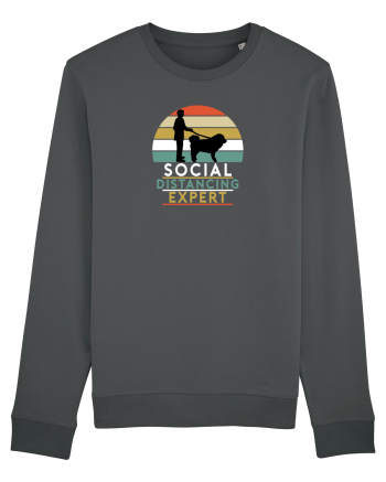 Social Tibetan Mastiff Anthracite