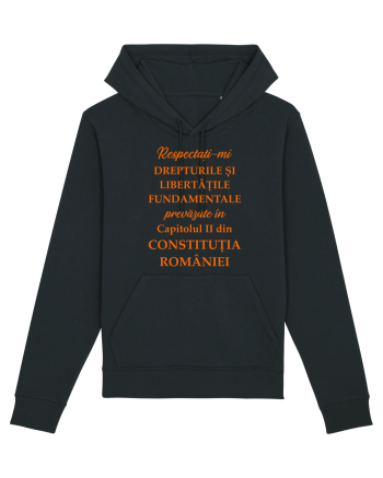 Drepturile si libertatile fundamentale Black
