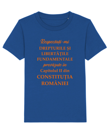 Drepturile si libertatile fundamentale Majorelle Blue