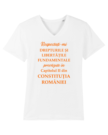 Drepturile si libertatile fundamentale White