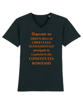 Drepturile si libertatile fundamentale Black