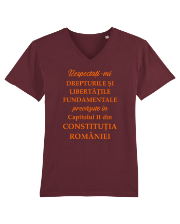 Drepturile si libertatile fundamentale Burgundy