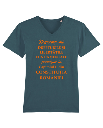 Drepturile si libertatile fundamentale Stargazer