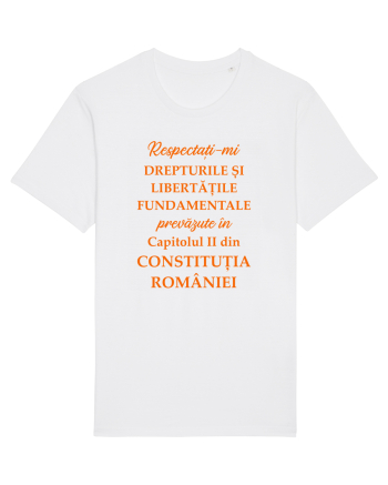 Drepturile si libertatile fundamentale White