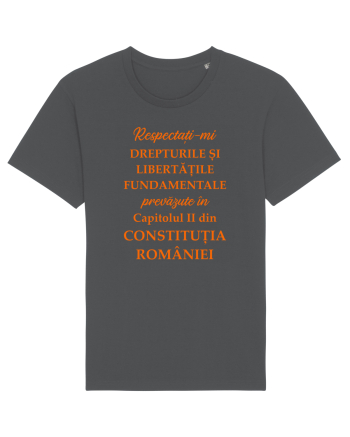 Drepturile si libertatile fundamentale Anthracite