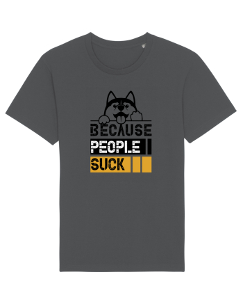 Because People Suck Anthracite