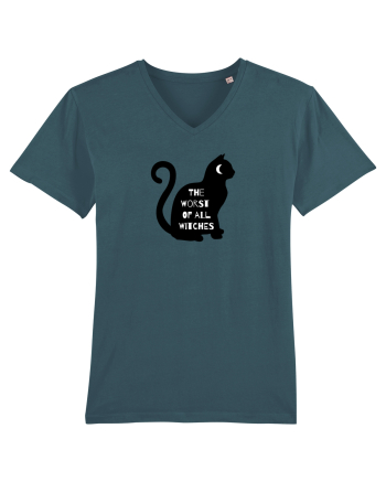 Black Witch  Cat Stargazer