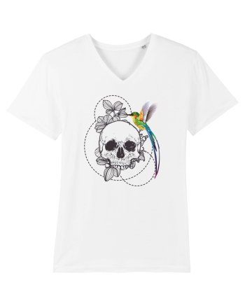 Craniu cu Colibri White