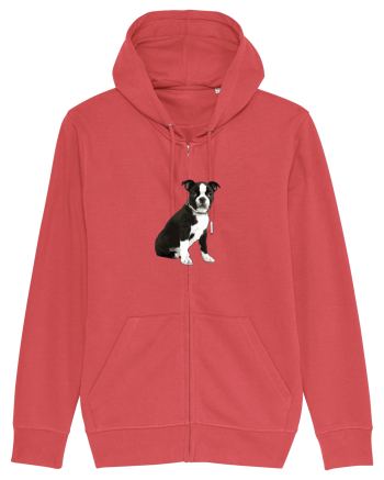 Catelus Carmine Red
