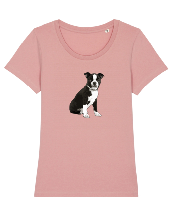 Catelus Canyon Pink