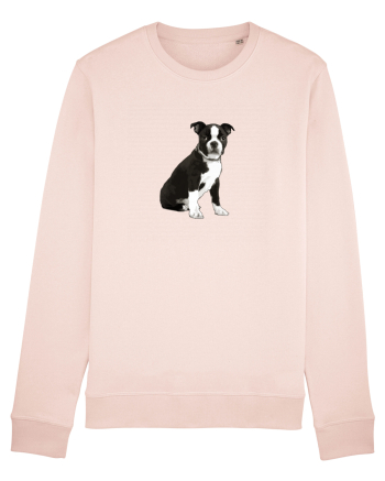 Catelus Candy Pink