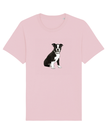 Catelus Cotton Pink