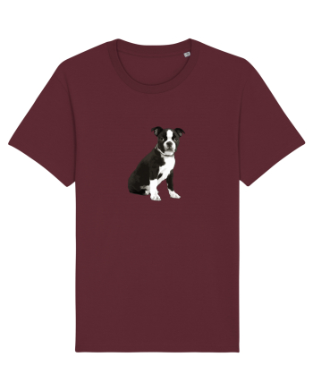 Catelus Burgundy