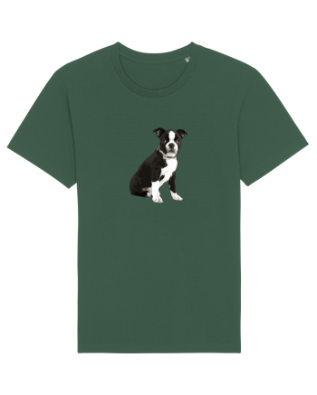 Catelus Bottle Green