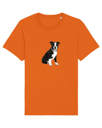 Catelus Bright Orange