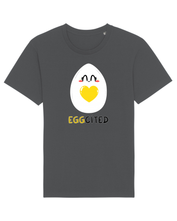 EGGcited Anthracite