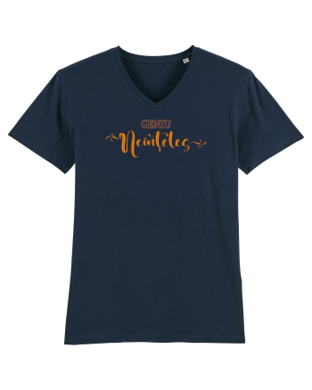 Geniu neinteles French Navy