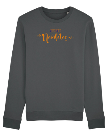 Geniu neinteles Anthracite