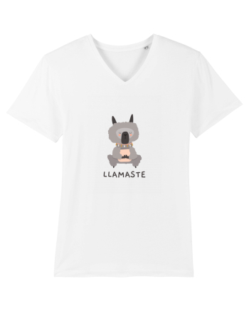 LLAMASTE White