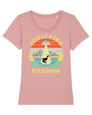 Abduckted by Aliens Vintage Sunset Canyon Pink