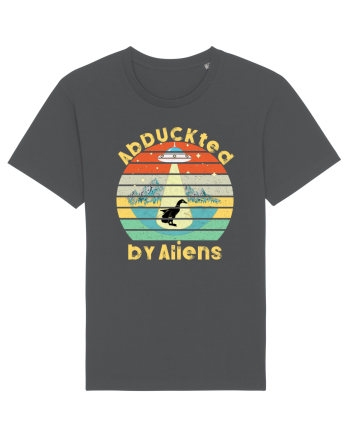 Abduckted by Aliens Vintage Sunset Anthracite