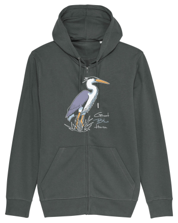 Blue Heron Anthracite