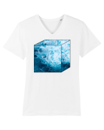 Cub Oceanic Tricou mânecă scurtă guler V Bărbat Presenter