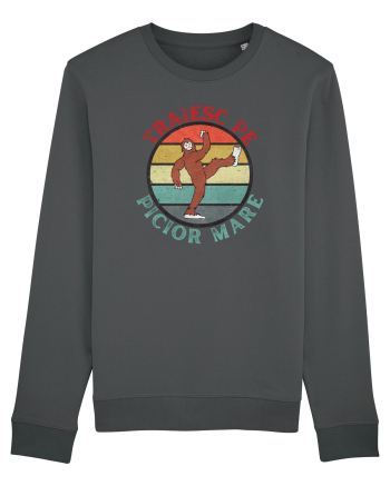 Funny Bigfoot Anthracite