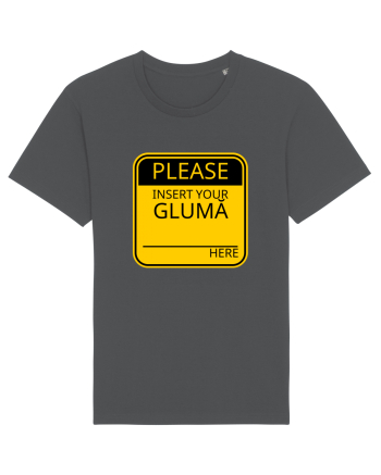 Please intert your glumă - sign Anthracite