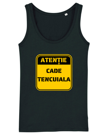 ATENTIE! Cade tencuiala Black