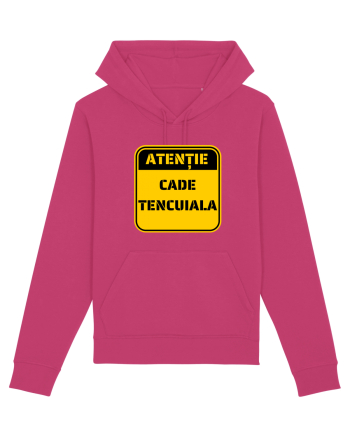 ATENTIE! Cade tencuiala Raspberry