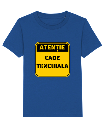 ATENTIE! Cade tencuiala Majorelle Blue