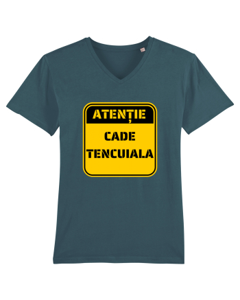ATENTIE! Cade tencuiala Stargazer
