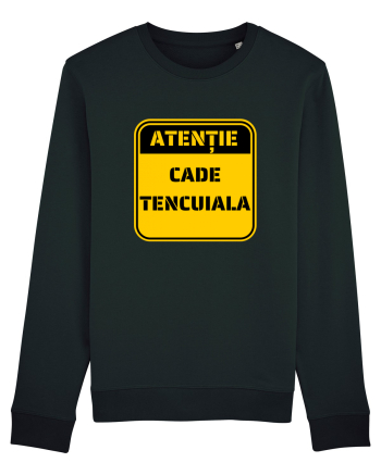 ATENTIE! Cade tencuiala Black