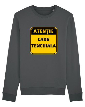 ATENTIE! Cade tencuiala Anthracite