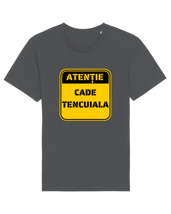 ATENTIE! Cade tencuiala Anthracite
