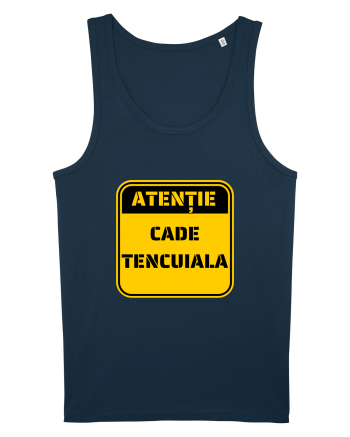 ATENTIE! Cade tencuiala Navy