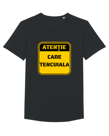 ATENTIE! Cade tencuiala Black