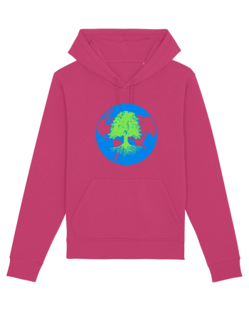 Life of a planet. Raspberry