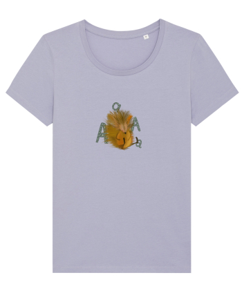 Hedgehog Lavender