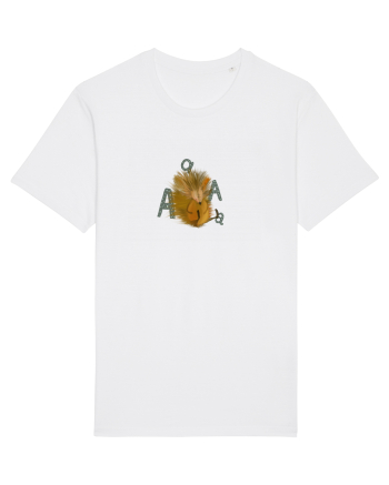 Hedgehog White