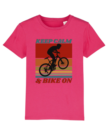 Pentru Ciclisti Raspberry