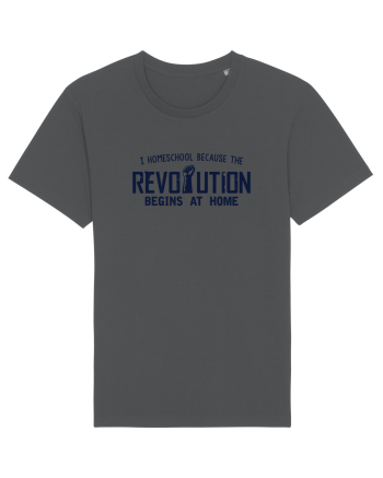 Homeschool revolution Anthracite