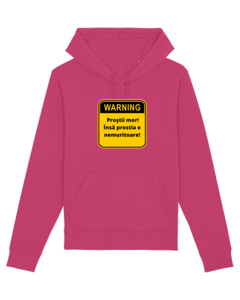 Warning! Prostii mor! Insa prostia e nemuritoare! Raspberry