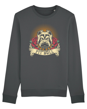 Pit Bull Anthracite