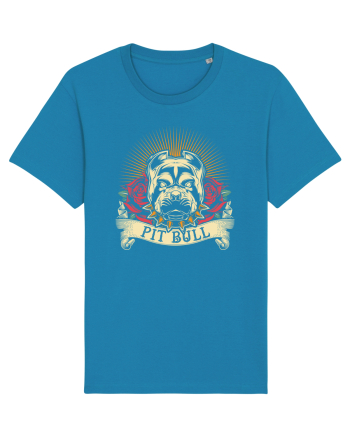 Pit Bull Azur