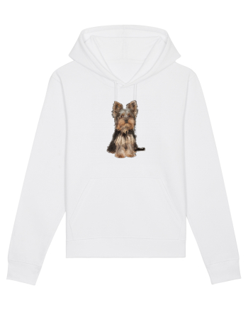 Yorkshire terrier White