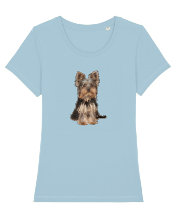 Yorkshire terrier Sky Blue