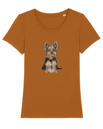 Yorkshire terrier Roasted Orange