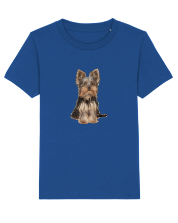 Yorkshire terrier Majorelle Blue